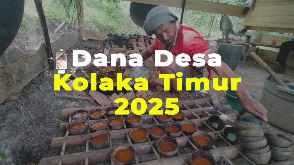 Rincian Dana Desa Kolaka Timur 2025